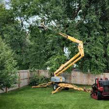 Best Hazardous Tree Removal  in Suisun City, CA